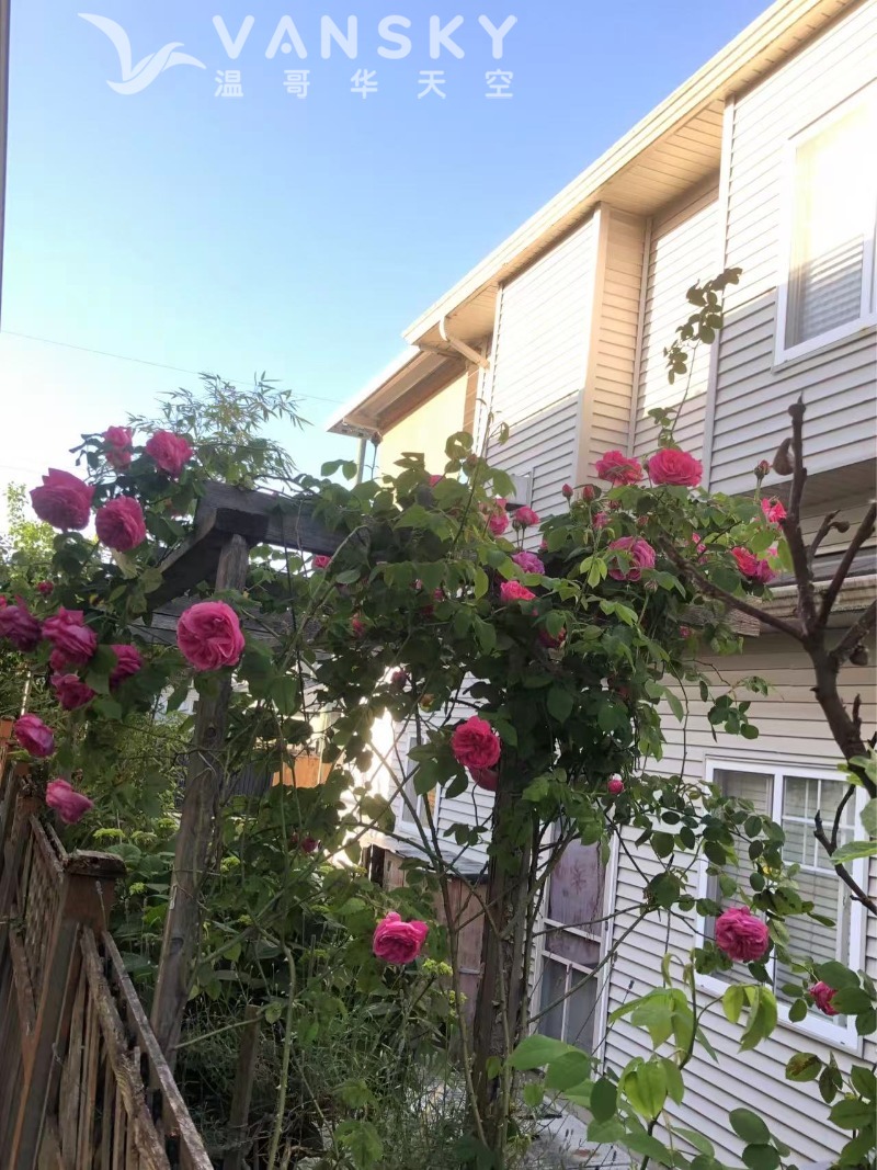 250603194824_Weixin Image_20250603194716.jpg